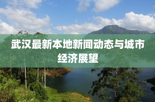 武漢最新本地新聞動態(tài)與城市經(jīng)濟展望