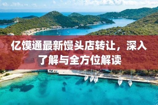 億饃通最新饅頭店轉(zhuǎn)讓，深入了解與全方位解讀