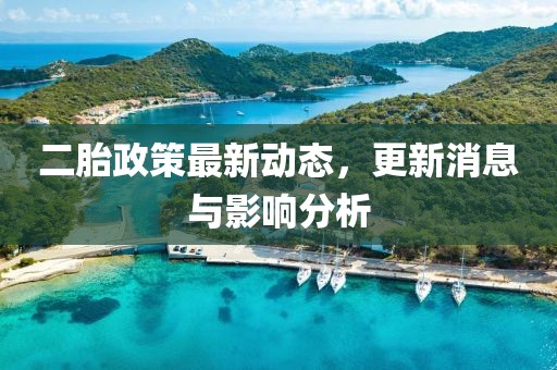 二胎政策最新動(dòng)態(tài)，更新消息與影響分析