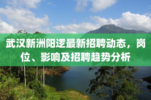 武漢新洲陽邏最新招聘動(dòng)態(tài)，崗位、影響及招聘趨勢(shì)分析