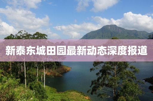 新泰東城田園最新動(dòng)態(tài)深度報(bào)道
