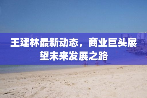 王建林最新動(dòng)態(tài)，商業(yè)巨頭展望未來(lái)發(fā)展之路