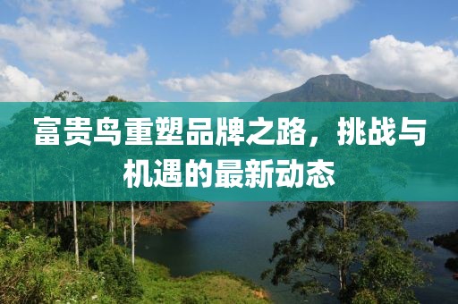 富貴鳥(niǎo)重塑品牌之路，挑戰(zhàn)與機(jī)遇的最新動(dòng)態(tài)