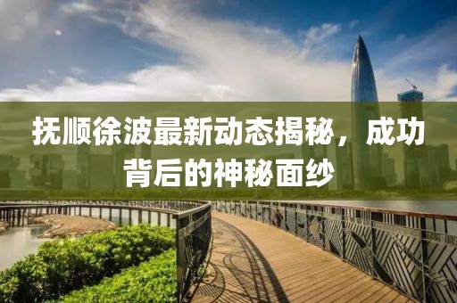 撫順徐波最新動態(tài)揭秘，成功背后的神秘面紗