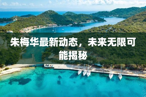 朱梅華最新動態(tài)，未來無限可能揭秘