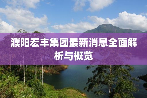 濮陽(yáng)宏豐集團(tuán)最新消息全面解析與概覽