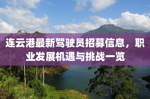 連云港最新駕駛員招募信息，職業(yè)發(fā)展機(jī)遇與挑戰(zhàn)一覽