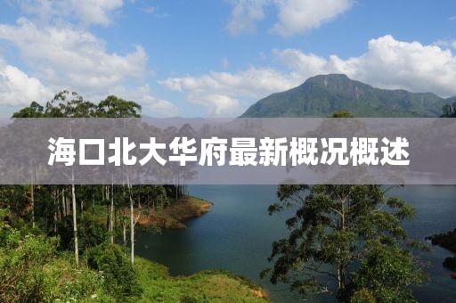 ?？诒贝笕A府最新概況概述