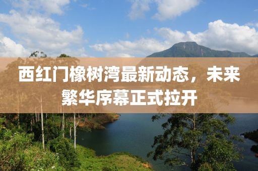 西紅門橡樹灣最新動(dòng)態(tài)，未來繁華序幕正式拉開