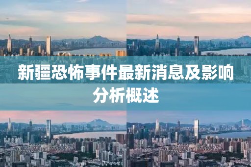 新疆恐怖事件最新消息及影響分析概述