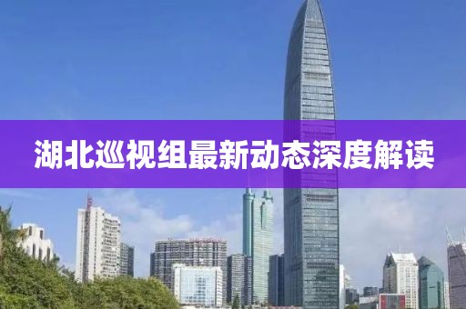 湖北巡視組最新動態(tài)深度解讀