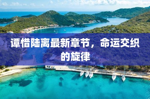 譚惜陸離最新章節(jié)，命運(yùn)交織的旋律