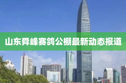 山東舜峰賽鴿公棚最新動態(tài)報道