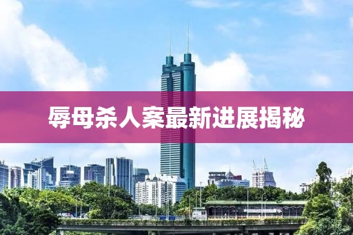 辱母殺人案最新進(jìn)展揭秘