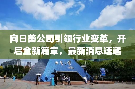 向日葵公司引領(lǐng)行業(yè)變革，開(kāi)啟全新篇章，最新消息速遞