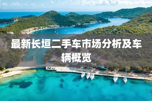 最新長垣二手車市場分析及車輛概覽