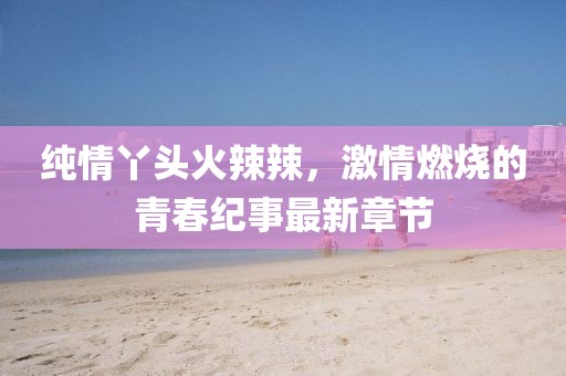 純情丫頭火辣辣，激情燃燒的青春紀(jì)事最新章節(jié)