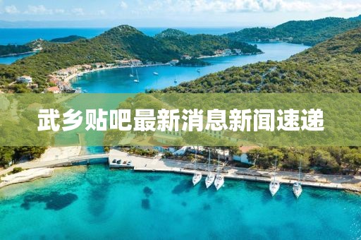 武鄉(xiāng)貼吧最新消息新聞速遞