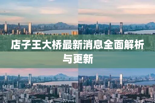 店子王大橋最新消息全面解析與更新