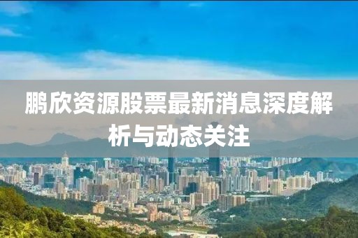 鵬欣資源股票最新消息深度解析與動態(tài)關(guān)注