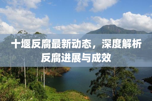 十堰反腐最新動態(tài)，深度解析反腐進展與成效