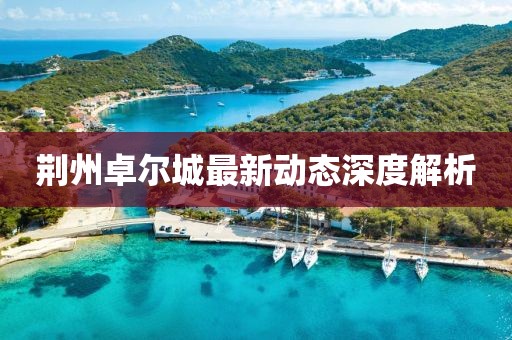 荊州卓爾城最新動態(tài)深度解析