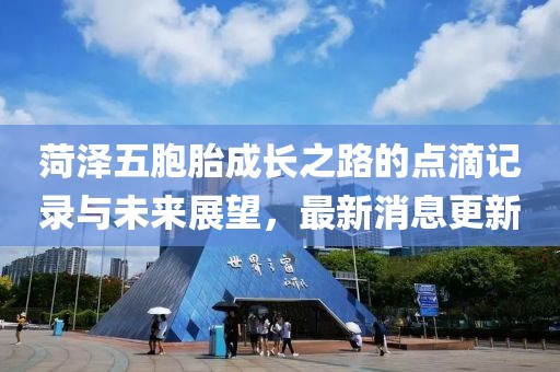 菏澤五胞胎成長(zhǎng)之路的點(diǎn)滴記錄與未來(lái)展望，最新消息更新