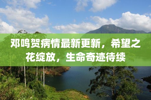 鄧?guó)Q賀病情最新更新，希望之花綻放，生命奇跡待續(xù)