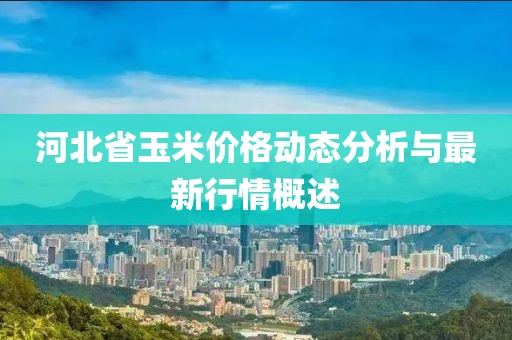 河北省玉米價(jià)格動(dòng)態(tài)分析與最新行情概述