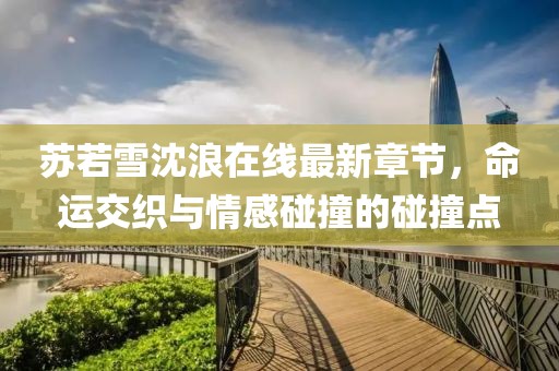 蘇若雪沈浪在線最新章節(jié)，命運交織與情感碰撞的碰撞點