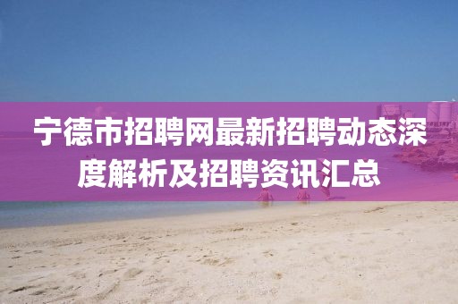 寧德市招聘網(wǎng)最新招聘動態(tài)深度解析及招聘資訊匯總