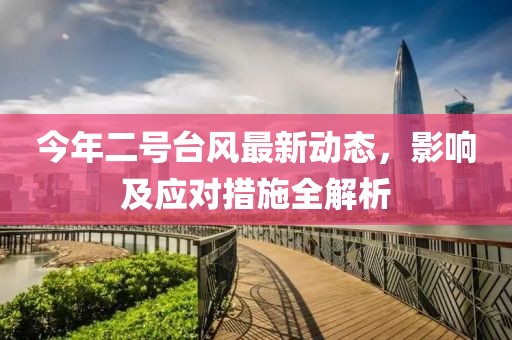 今年二號(hào)臺(tái)風(fēng)最新動(dòng)態(tài)，影響及應(yīng)對(duì)措施全解析