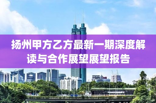揚州甲方乙方最新一期深度解讀與合作展望展望報告