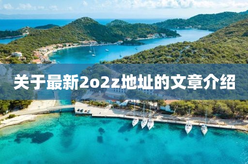 關(guān)于最新2o2z地址的文章介紹