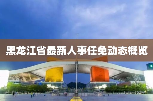 黑龍江省最新人事任免動態(tài)概覽