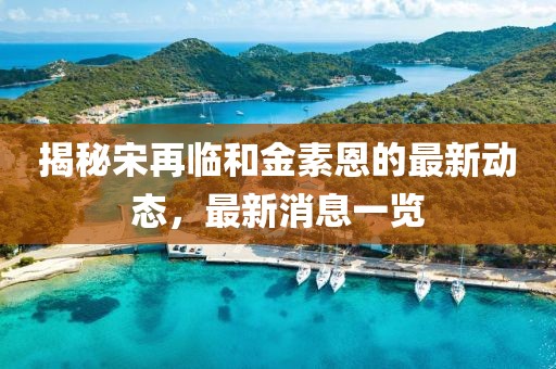 揭秘宋再臨和金素恩的最新動態(tài)，最新消息一覽