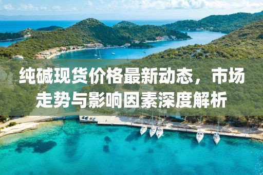純堿現(xiàn)貨價格最新動態(tài)，市場走勢與影響因素深度解析