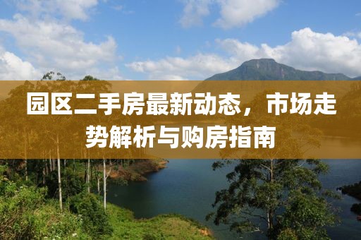 園區(qū)二手房最新動態(tài)，市場走勢解析與購房指南
