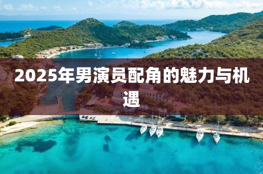 2025年男演員配角的魅力與機(jī)遇