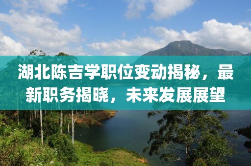 湖北陳吉學(xué)職位變動(dòng)揭秘，最新職務(wù)揭曉，未來發(fā)展展望