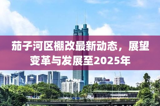 茄子河區(qū)棚改最新動態(tài)，展望變革與發(fā)展至2025年