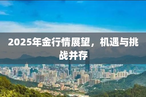 2025年金行情展望，機(jī)遇與挑戰(zhàn)并存
