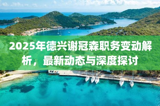2025年德興謝冠森職務(wù)變動(dòng)解析，最新動(dòng)態(tài)與深度探討
