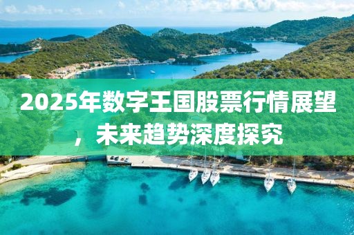 2025年數(shù)字王國股票行情展望，未來趨勢深度探究
