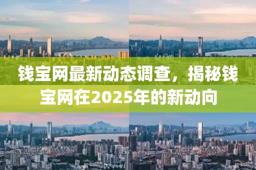 錢(qián)寶網(wǎng)最新動(dòng)態(tài)調(diào)查，揭秘錢(qián)寶網(wǎng)在2025年的新動(dòng)向