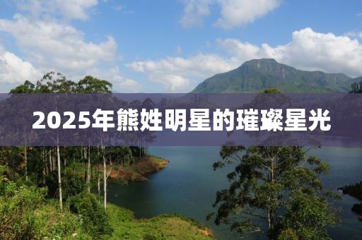 2025年熊姓明星的璀璨星光