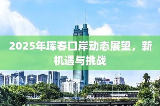 2025年琿春口岸動(dòng)態(tài)展望，新機(jī)遇與挑戰(zhàn)