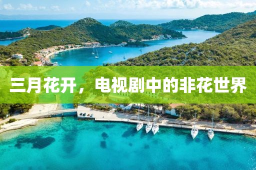 三月花開，電視劇中的非花世界
