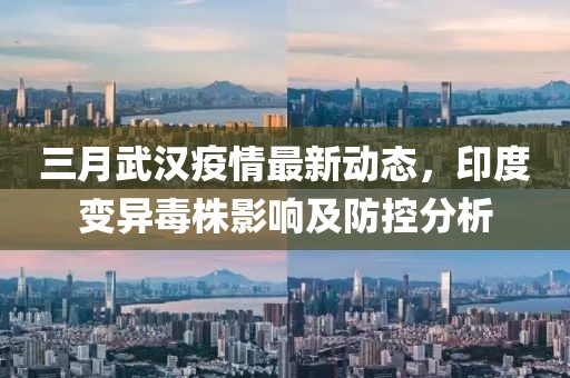 三月武漢疫情最新動(dòng)態(tài)，印度變異毒株影響及防控分析