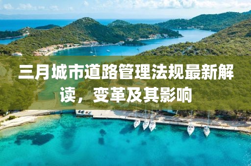 三月城市道路管理法規(guī)最新解讀，變革及其影響